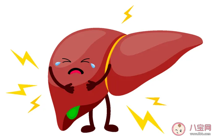 人体最大的消化腺是肝脏还是胃 蚂蚁庄园11月12日答案最新