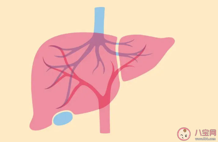 人体最大的消化腺是肝脏还是胃 蚂蚁庄园11月12日答案最新