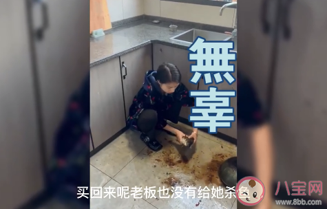 女子第一次下厨把活鱼扔锅里煮 第一次做饭要注意些什么