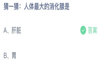 人体最大的消化腺是肝脏还是胃 蚂蚁庄园11月12日答案最新