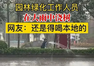 绿化工作人员雨天给大树浇水 下雨天为什么要浇绿化