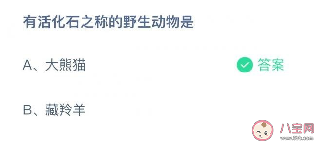 蚂蚁庄园有活化石之称的野生动物是大熊猫还是藏羚羊 11月17日答案 蚂蚁庄园有活化石之称的野生动物是大熊猫还是藏羚羊 11月17日答案