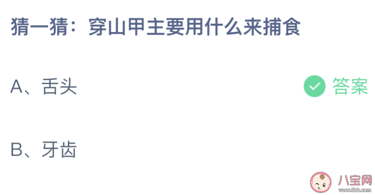 穿山甲主要用什么来捕食 蚂蚁庄园11月17日答案介绍 穿山甲主要用什么来捕食 蚂蚁庄园11月17日答案介绍