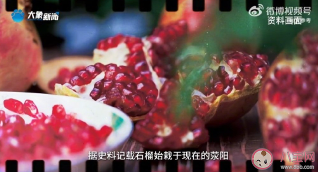 村民不出村仨月把石榴卖出上千万 吃石榴有哪些好处 村民不出村仨月把石榴卖出上千万 吃石榴有哪些好处