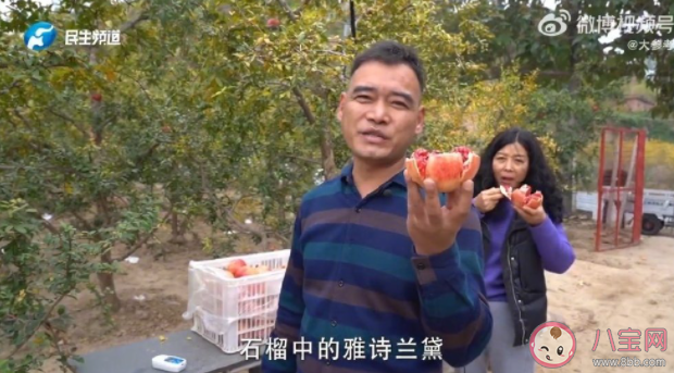村民不出村仨月把石榴卖出上千万 吃石榴有哪些好处 村民不出村仨月把石榴卖出上千万 吃石榴有哪些好处