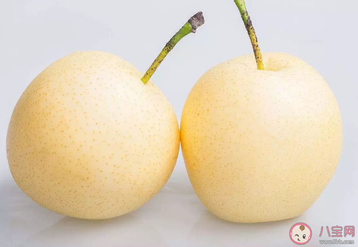 蚂蚁庄园为什么吃梨总感觉里面有颗粒物 11月18日答案解析