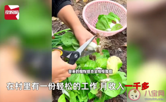 女子独居农村月入1千称很快乐 如何看待该女子的选择