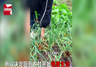 女子独居农村月入1千称很快乐 如何看待该女子的选择