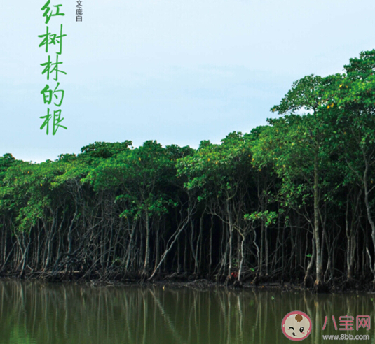 红树林被称为大海的幼儿园主要是因为什么 神奇海洋11月18日答案 红树林被称为大海的幼儿园主要是因为什么 神奇海洋11月18日答案