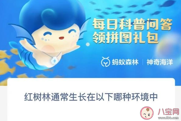 红树林通常生长在以下哪种环境中 神奇海洋11月19日答案