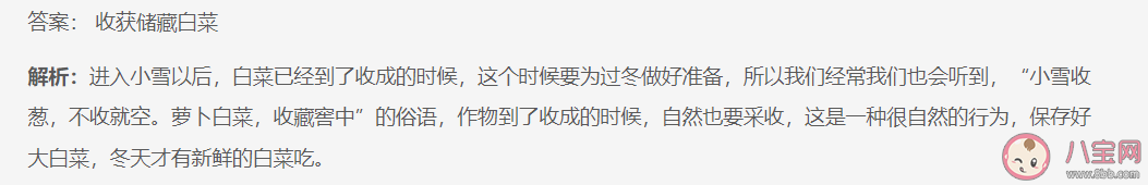蚂蚁庄园小雪铲白菜指的是小雪时节适合什么 11月22日答案介绍