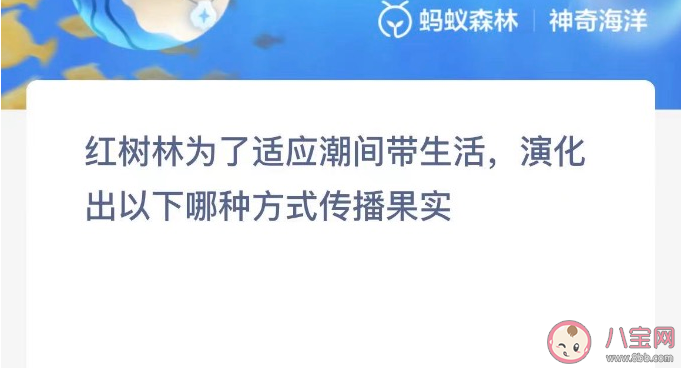红树林用什么方式传播果实 神奇海洋11月21日答案