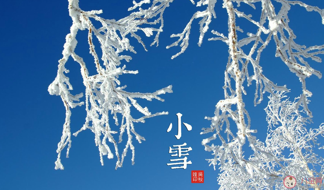 小雪节气的小雪指的是寒气和降水渐增吗 蚂蚁庄园11月22日正确答案