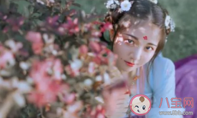 豆蔻年华通常泛指女子多少岁 蚂蚁庄园11月23日答案最新 豆蔻年华通常泛指女子多少岁 蚂蚁庄园11月23日答案最新