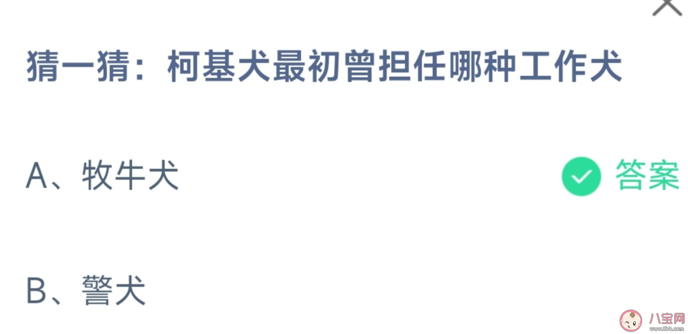 蚂蚁庄园柯基犬最初曾担任哪种工作犬 11月23日答案介绍
