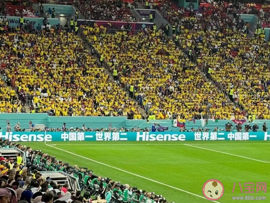世界杯赛场中国第一广告牌亮了 如何看待海信的巨大广告