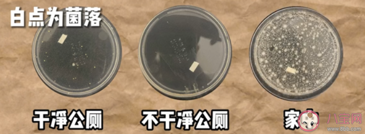 别再踩公厕马桶圈了 正确的马桶使用方法是什么