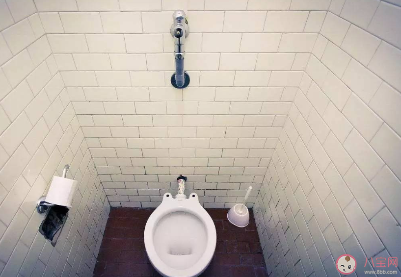 别再踩公厕马桶圈了 正确的马桶使用方法是什么
