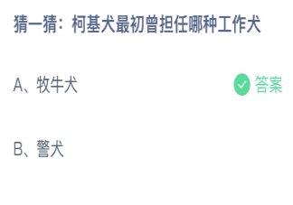 柯基犬最初曾担任哪种工作犬 蚂蚁庄园11月23日答案介绍