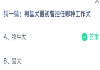 蚂蚁庄园柯基犬最初曾担任哪种工作犬 11月23日答案介绍