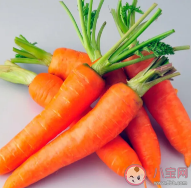 我们平常吃的胡萝卜其实是它的 蚂蚁庄园11月24日答案介绍