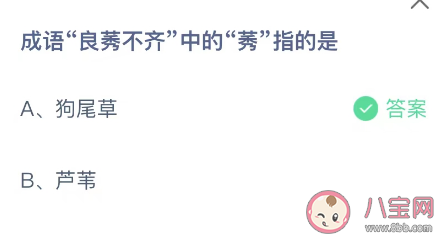 成语良莠不齐中的莠指的是什么 蚂蚁庄园11月24日答案最新 成语良莠不齐中的莠指的是什么 蚂蚁庄园11月24日答案最新
