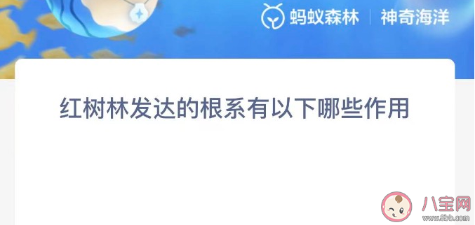 红树林发达的根系有以下哪些作用 神奇海洋11月24日答案