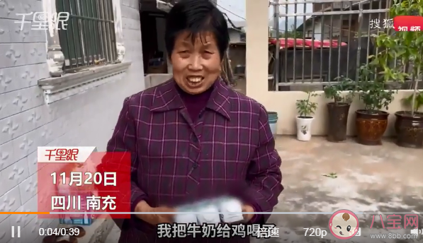 72岁老人给鸡喝70块钱的牛奶 老人不喜欢喝牛奶怎么办