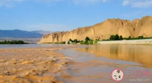 古诗云黄河入海流黄河最终流入的是哪个海 蚂蚁庄园11月25日答案 古诗云黄河入海流黄河最终流入的是哪个海 蚂蚁庄园11月25日答案