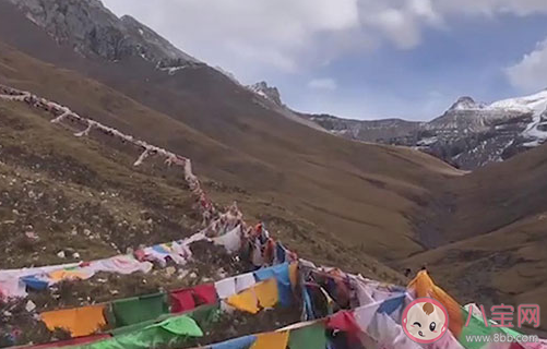 古诗云黄河入海流黄河最终流入的是哪个海 蚂蚁庄园11月25日答案 古诗云黄河入海流黄河最终流入的是哪个海 蚂蚁庄园11月25日答案