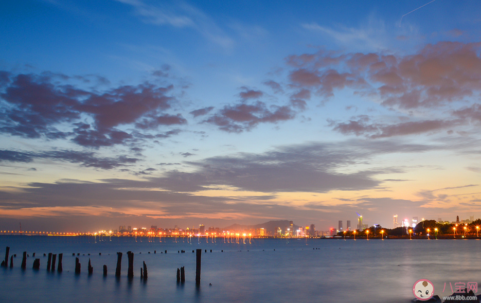 蚂蚁森林哪个地方率先出台了我国首部专门保护红树林资源的地方条例 神奇海洋11月24日答案