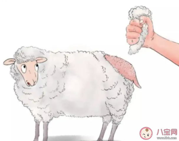 做一件羊绒大衣需要多少只小山羊 羊绒大衣有什么优点