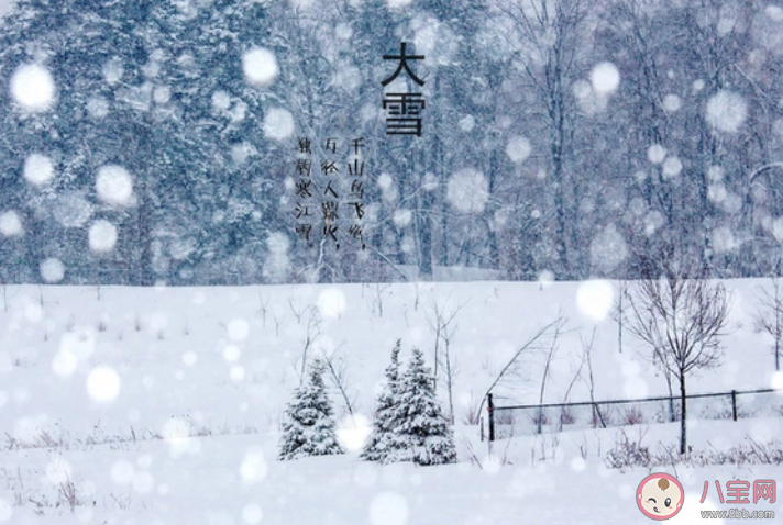 大雪节气不上冻明年可能会出现 蚂蚁庄园12月7日答案