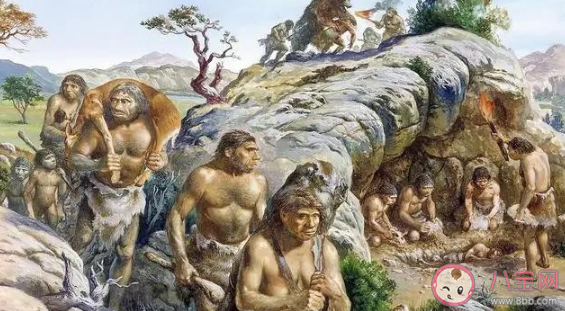 古代人怎么拔智齿 智齿以前是干什么的