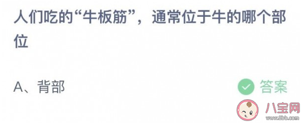 人们吃的牛板筋位于牛的哪个部位 ​蚂蚁庄园12月5日答案介绍