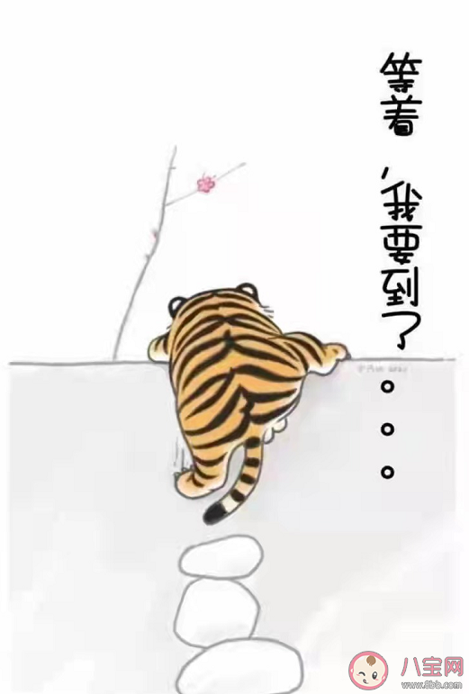 有钱没钱回家过年的文案说说 有钱没钱回家过年的心情文案句子