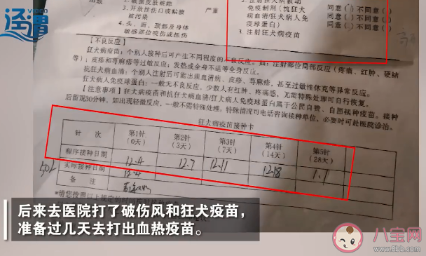 男子熟睡时疑被老鼠咬破头是怎么回事 老鼠会咬人吗