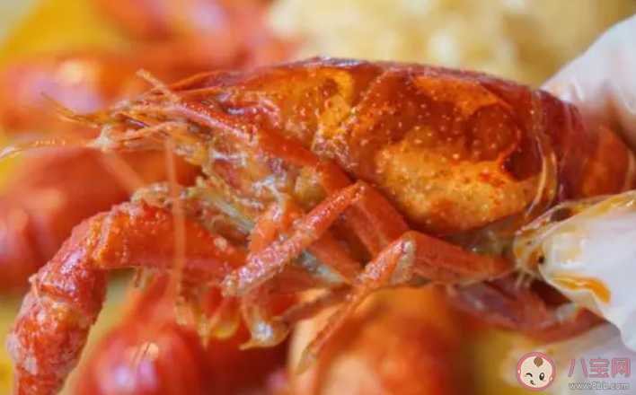 以下哪种职业的工作内容是品尝小龙虾 蚂蚁新村12月9日答案