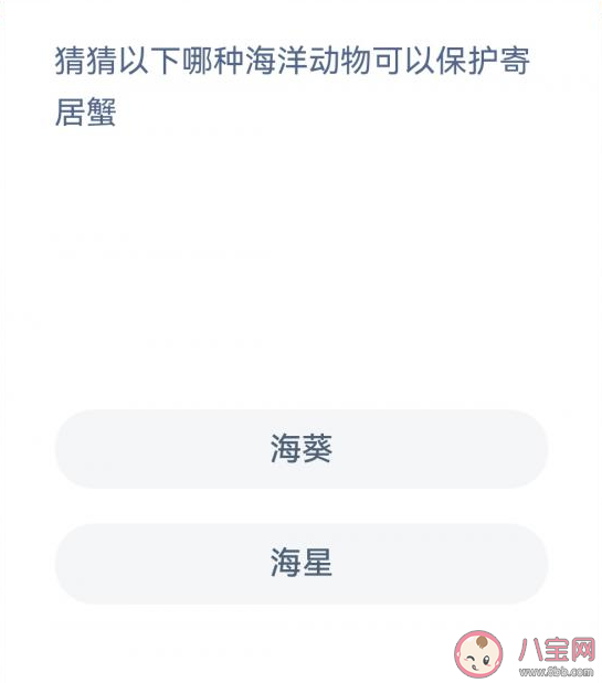 蚂蚁森林哪种海洋动物可以保护寄居蟹 神奇海洋12月10日答案
