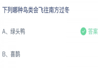 下列哪种鸟类会飞往南方过冬 蚂蚁庄园12月11日答案最新