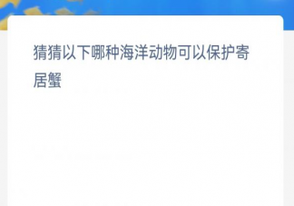 猜猜以下哪种海洋动物可以保护寄居蟹 神奇海洋12月10日答案