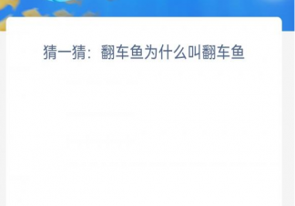 猜一猜翻车鱼为什么叫翻车鱼 神奇海洋12月12日答案