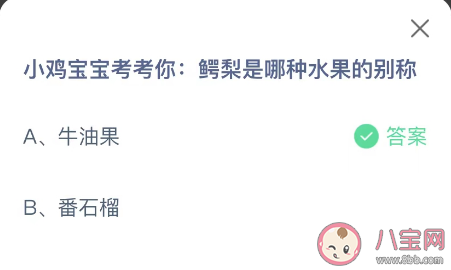 鳄梨是哪种水果的别称 蚂蚁庄园12月14日答案介绍 鳄梨是哪种水果的别称 蚂蚁庄园12月14日答案介绍