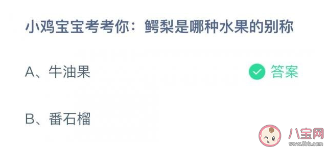 蚂蚁庄园鳄梨是哪种水果的别称 12月14日答案介绍 蚂蚁庄园鳄梨是哪种水果的别称 12月14日答案介绍