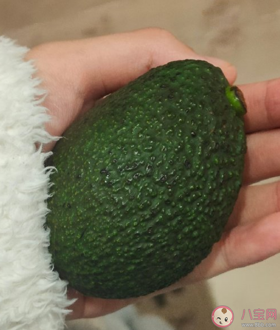 蚂蚁庄园鳄梨是哪种水果的别称 12月14日答案介绍 蚂蚁庄园鳄梨是哪种水果的别称 12月14日答案介绍