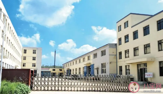 去公司上班如何防护更安全 不推荐用酒精进行空气消毒吗 去公司上班如何防护更安全 不推荐用酒精进行空气消毒吗