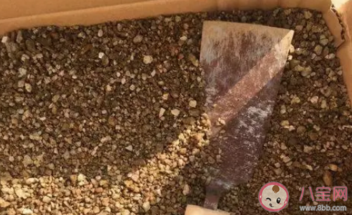 蚂蚁庄园沙漠里的沙子能直接用来建造房屋吗 小课堂12月15日答案 蚂蚁庄园沙漠里的沙子能直接用来建造房屋吗 小课堂12月15日答案