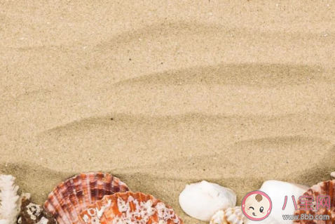 蚂蚁庄园沙漠里的沙子能直接用来建造房屋吗 小课堂12月15日答案 蚂蚁庄园沙漠里的沙子能直接用来建造房屋吗 小课堂12月15日答案