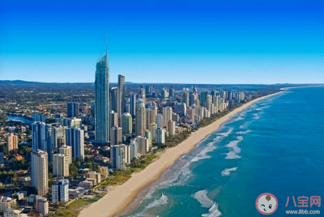 人们平常说的海平面真是平的吗 蚂蚁森林神奇海洋12月15日答案 人们平常说的海平面真是平的吗 蚂蚁森林神奇海洋12月15日答案