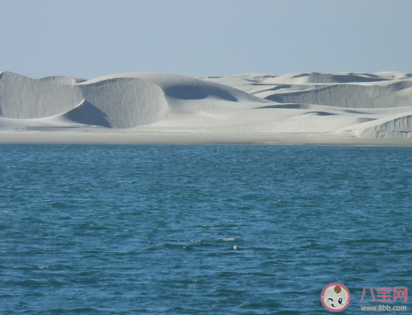 人们平常说的海平面真是平的吗 蚂蚁森林神奇海洋12月15日答案 人们平常说的海平面真是平的吗 蚂蚁森林神奇海洋12月15日答案